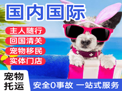 天水麦积山国际宠物托运 【国